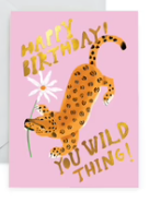 Wild Thing Birthday