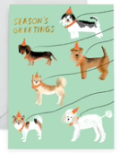 Dog Walking Holiday